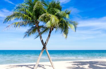sasint-beach-1822544